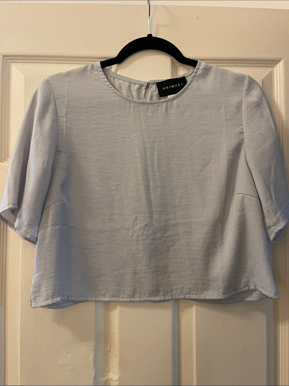 Animari Light Blue Short Sleeve Crop Top